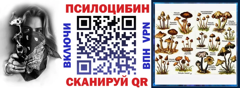 Галлюциногенные грибы Psilocybine cubensis  Барнаул 